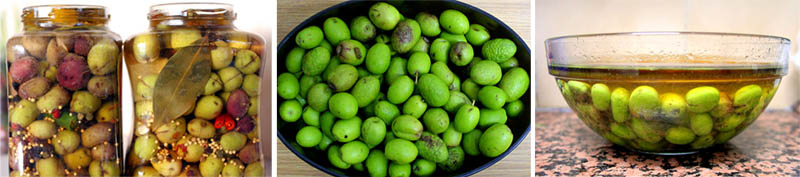 olive-montage